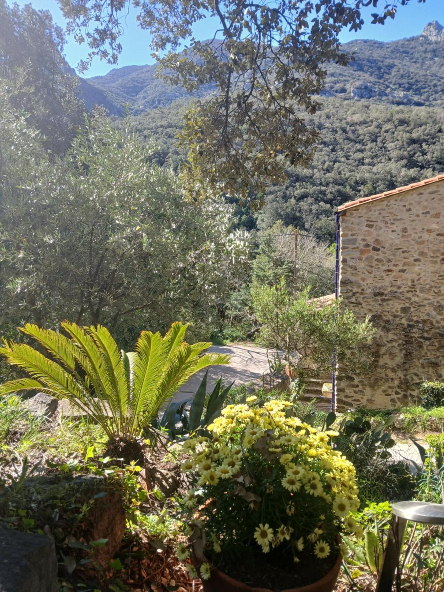 Vila La Bergerie Sorède Exteriér fotografie